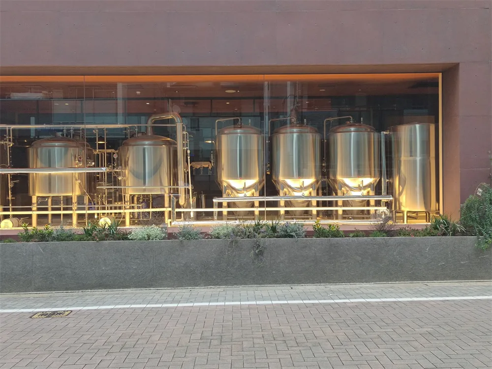 500l micro brewery equipment 5