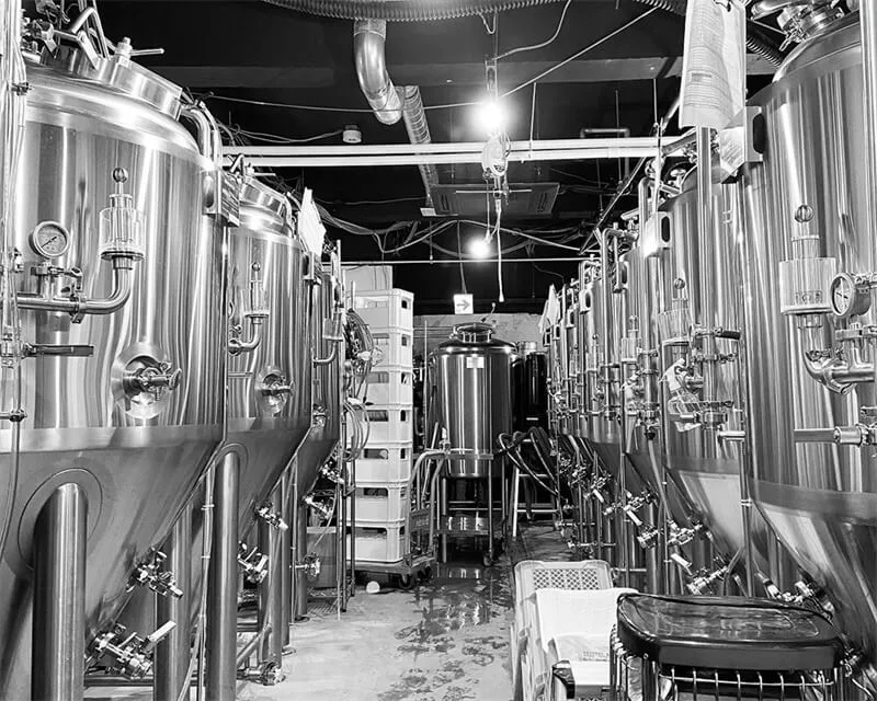 600l small microbrewery equipment (5)