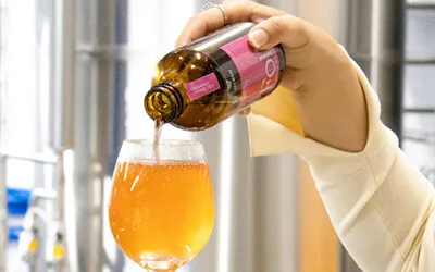 advantage kombucha equipment.webp