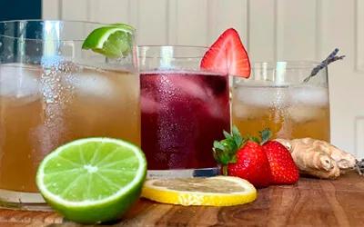 advantage2 kombucha equipment.webp