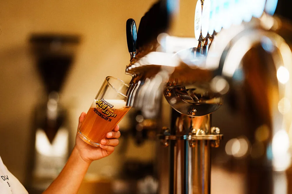 Equipement de brasserie 1000l (1)