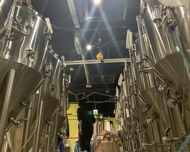 600l small microbrewery equipment (2)